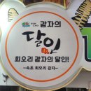 속초회오리감자 이미지