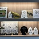 아이즈 오브 엔젤 이미지