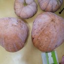 대왕농장 이미지