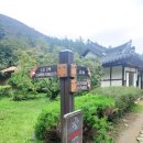 옥향식당 | 2025년 10월 18일 토요일 날씨:흐림(진도:운림산방, 쌍계사, 옥향식당)