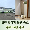 행복한농어촌체험마을 | 강아지랑 가기 좋은 충남 당진 애견동반 숙소, 푸레기마을 솔직 후기