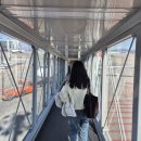 영광기사식당 | [하코다테 1] 일본 겨울여행지ㅣ하코다테 털게식당ㅣ일본3대야경 로프웨이 전망대ㅣ징기스칸 맛집추천