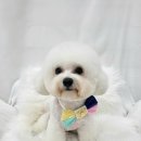 미용천재 이미지