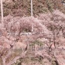 구조라로 2길 이미지