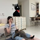 남도목욕탕 | 목포,보성,완도 찍먹후기♡