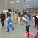 팀몬스터 복싱 이미지