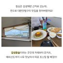 제주까미돈 | 일상 ) 활짝 피어난 꽃을 보다가 반짝이는 별을 보다가