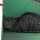 지연2농장 이미지