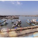 궁평항해오름수산시장 이미지