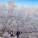 준브라더스케어 - 동대문구 | 준브라더스케어