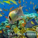 청암사우나 이미지