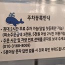 카페만월경 동탄반송점