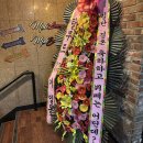 엠플 라운지 이미지