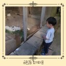 금촌유아숲체험원 이미지