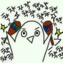 샵아이스 - 광주시 독고개길 14-23 | 샵아이스