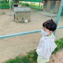 전남도청비둘기어린이집 이미지