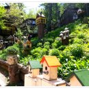 퍼머컬쳐 이미지