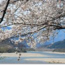 개인화물2484 | 한밤의 사진편지 제2484호(순천지역 걷기 출발 인사/'17/4/15/토)