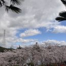 덕동 | 마산 가포 맛집 어울림하우스 로봇랜드 근처 덕동 파스타 양식당 솔직후기
