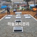 창수목장 네이버블로그