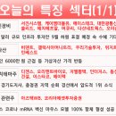 서진약품 이미지