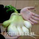 반송2동-17 이미지