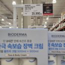 (주)골드스타 | 코스트코 1월 넷째주 할인 리스트 이그제큐티브 회원은 놓치면 손해