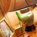 자연속의흙집 이미지