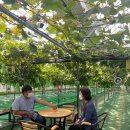 김경희농장 이미지