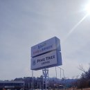 진고집 동해 동태탕 이미지