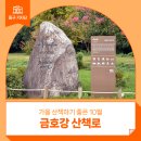아양루공원(통천사 주차장) | 가을 산책하기 좋은 10월! 금호강 산책로 - 장은희 기자 :: 동촌유원지 10경길, 해맞이다리, 자전거길