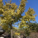 장성 | 장성 방문의 해!! 장성 여행 후기