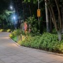 걷고싶은거리 이미지