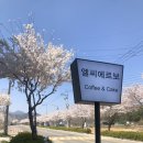 엘씨에르보