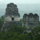 서문미의원 이미지