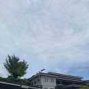 거여4단지(405동앞) | 필리핀 세부 골프 릴로안 골프장(LILOAN GC)후기