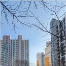 화산 공인중개사사무소 이미지