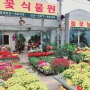 상일꽃농원