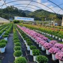 대광농장(2농장) 이미지