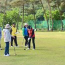 청송군파크골프장 이미지