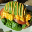 파파브런치 이미지