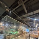 신비소리 | 경기도 가평 신비동물원 후기