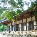 서시천자전거길1 이미지