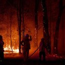 UOW Stands With Community in The Face of Bushfire Emergency 이미지