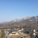 비봉상점