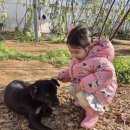 웃안미 농장 | 강화도 체험농장 미타임 | 아이랑 가볼만한곳 내돈내산 후기