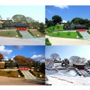 청주스크랩 이미지