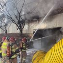 완진농장 이미지