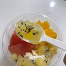 마이요거트립구리 | 구리역 디저트맛집 마이요거트립 구리수택점 포장후기