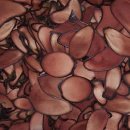 김병성한의원 이미지